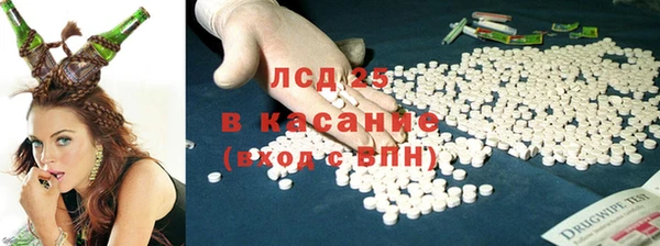 сатива Арсеньев
