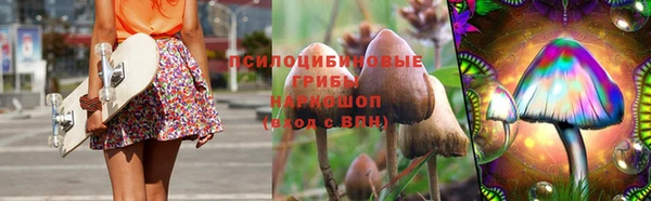 сатива Арсеньев