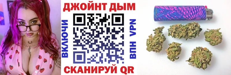 Канабис планчик  Фёдоровский 